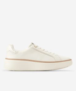 Musterbrand.shopcf353e61a5 1
